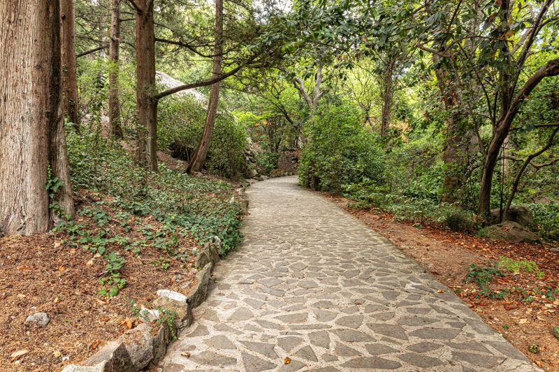 Stone Walkway Repair in Clayton, NC
