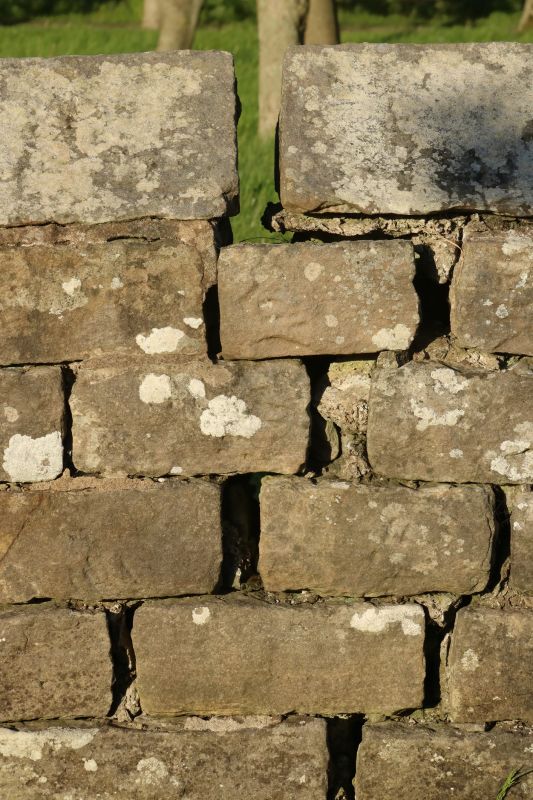 Stone Wall Repair in Benson, NC